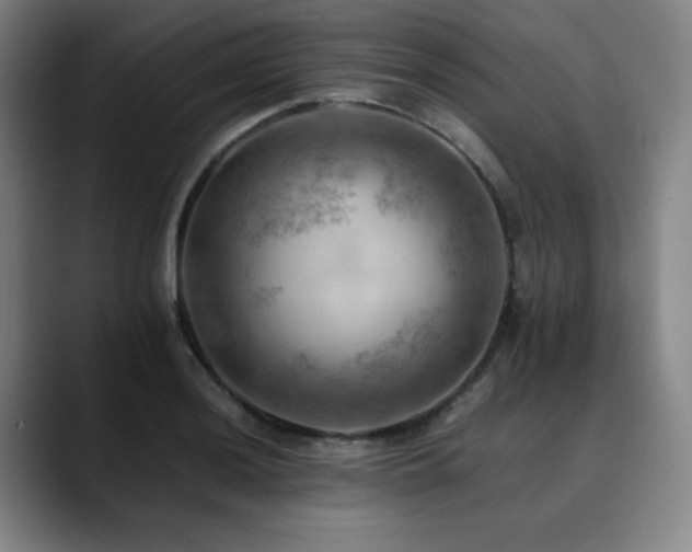 X0000090431036200707131157