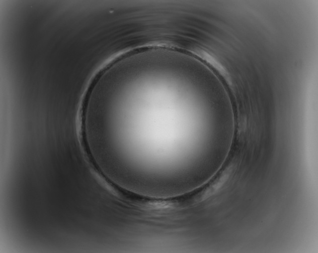 X0000090431037200707131157
