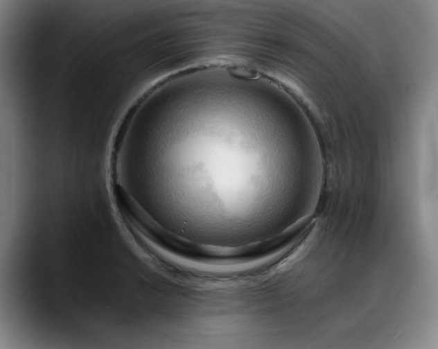 X0000090431038200707131157