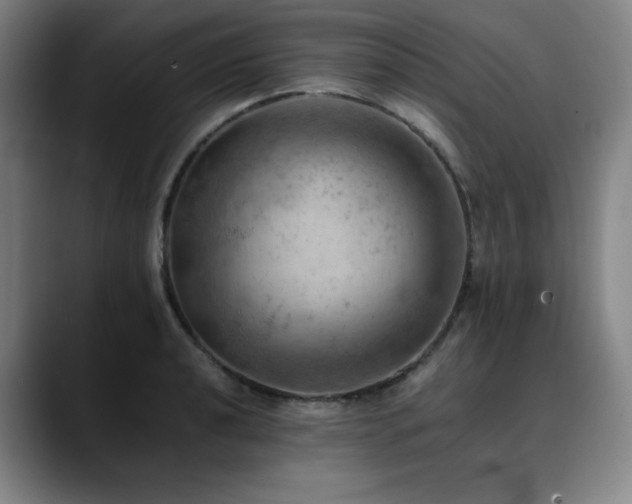 X0000090431040200707131157