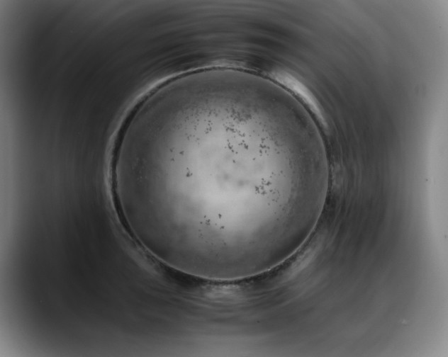 X0000090431043200707131158
