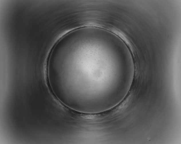 X0000090431048200707131158