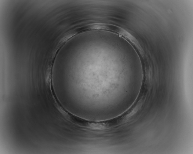 X0000090431049200707131158
