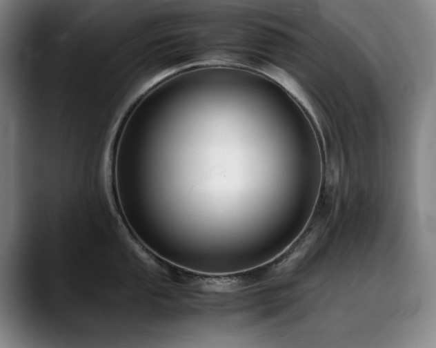 X0000090431053200707131158