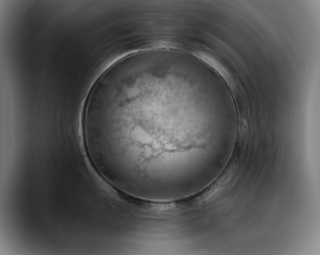 X0000090431055200707131158