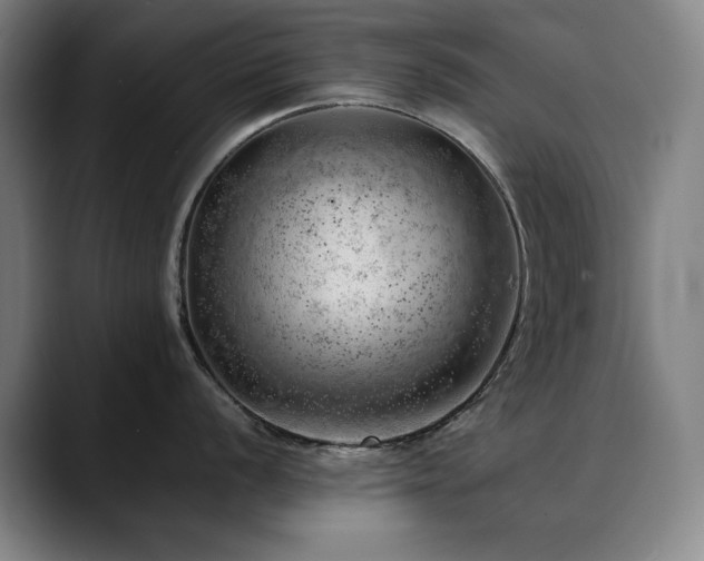 X0000090431056200707131158