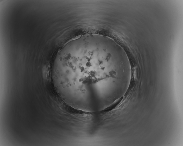 X0000090431059200707131157