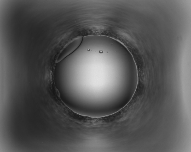 X0000090431061200707131157