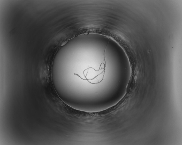 X0000090431062200707131157