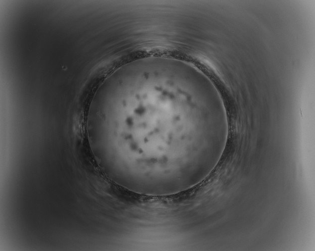 X0000090431063200707131157