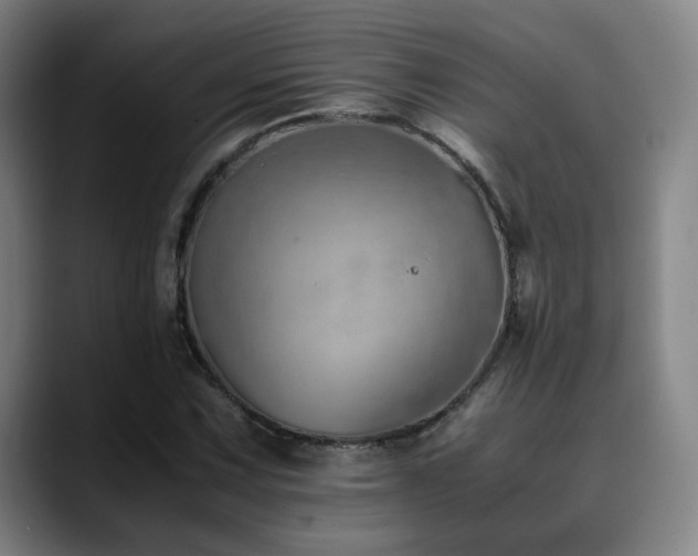 X0000090431067200707131157