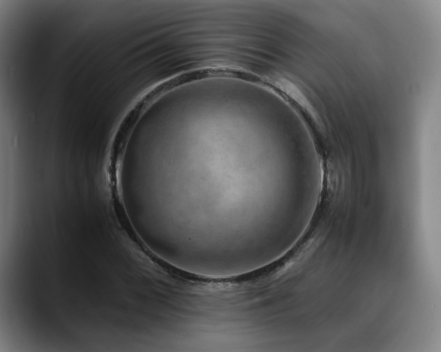 X0000090431068200707131157