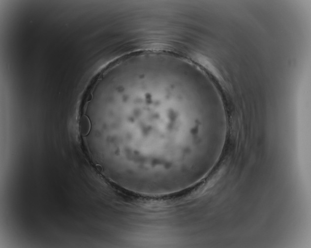 X0000090431071200707131157