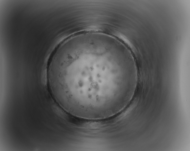X0000090431075200707131157