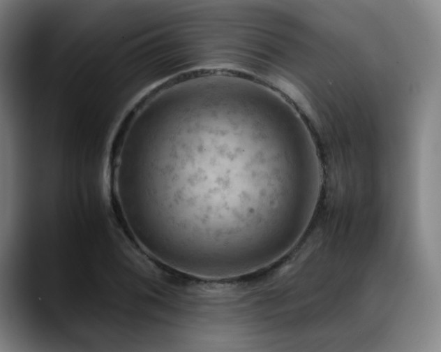 X0000090431076200707131157