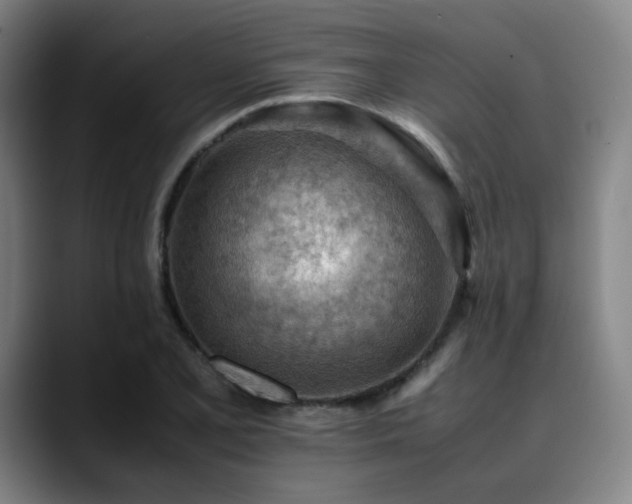 X0000090431077200707131157