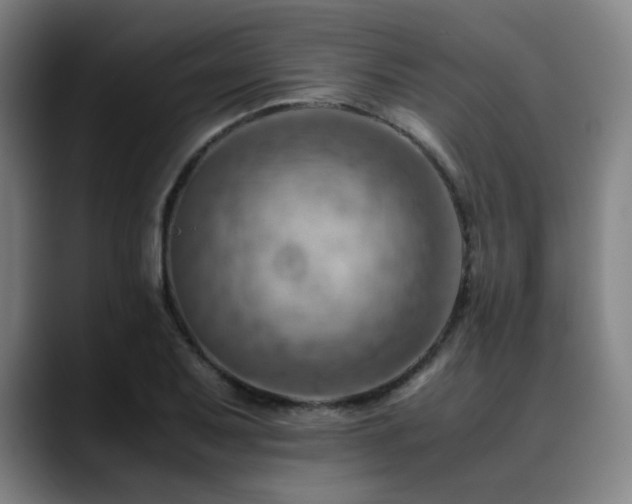 X0000090431079200707131157