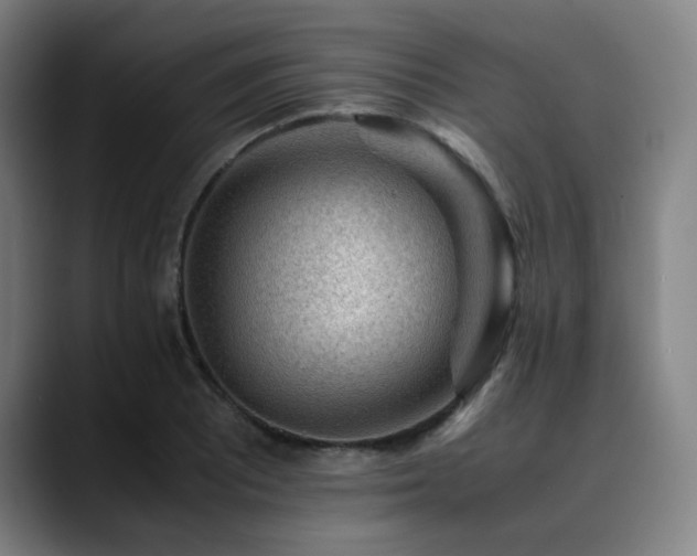 X0000090431081200707131157