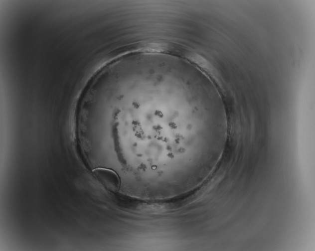 X0000090431083200707131157