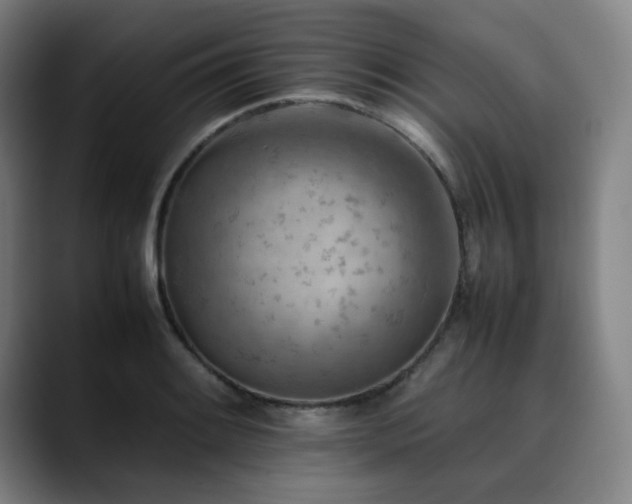 X0000090431084200707131157