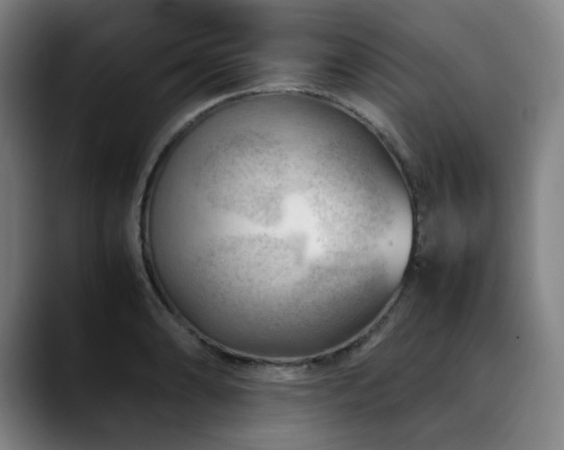 X0000090431086200707131157