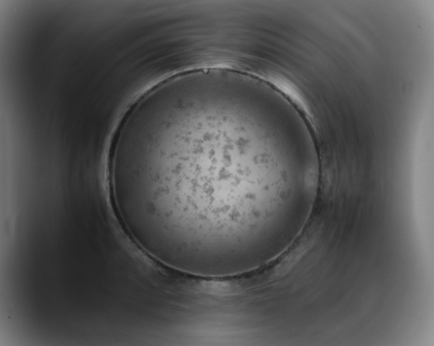X0000090431088200707131157