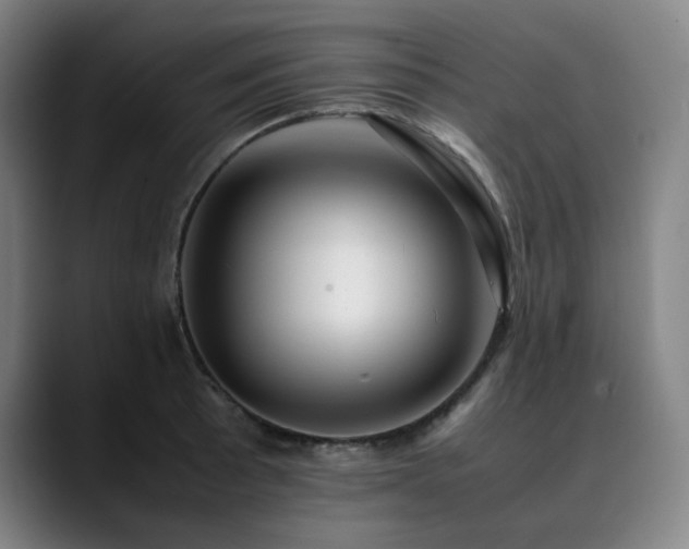X0000090431089200707131157