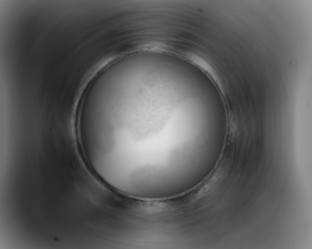 X0000090431090200707131157