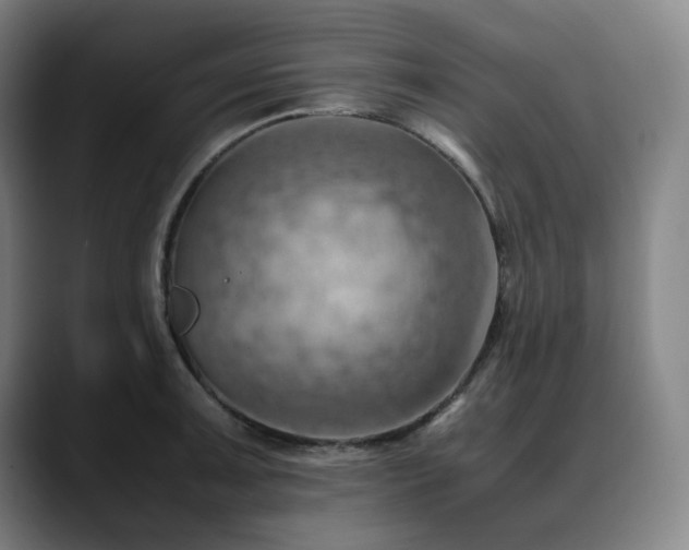 X0000090431091200707131157