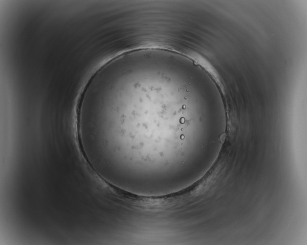 X0000090431096200707131157