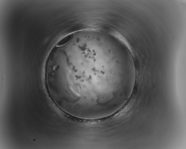 X0000090431099200707131157