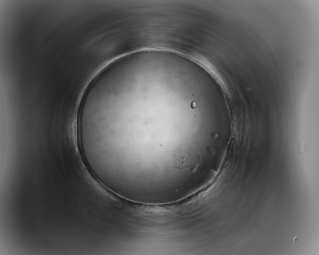 X0000090431100200707131157