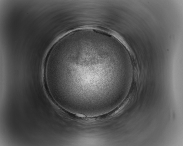 X0000090431101200707131157