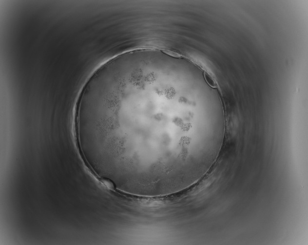 X0000090431103200707131157