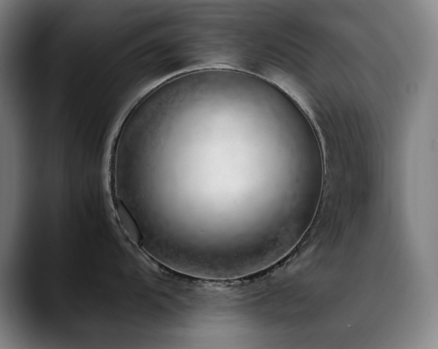 X0000090431104200707131157