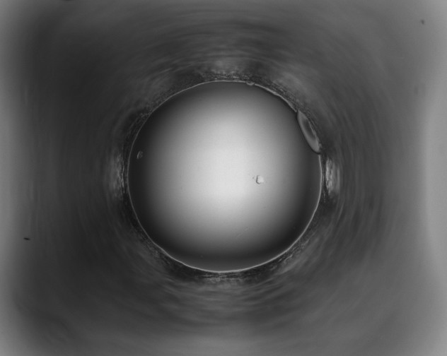 X0000090431107200707131156