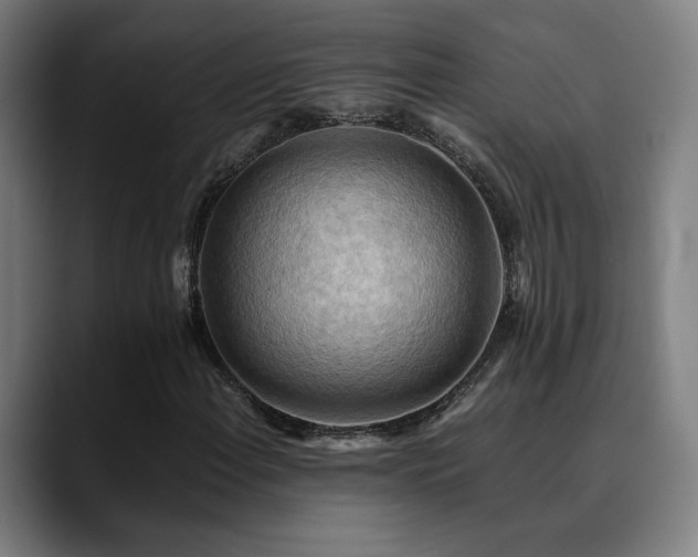 X0000090431108200707131156
