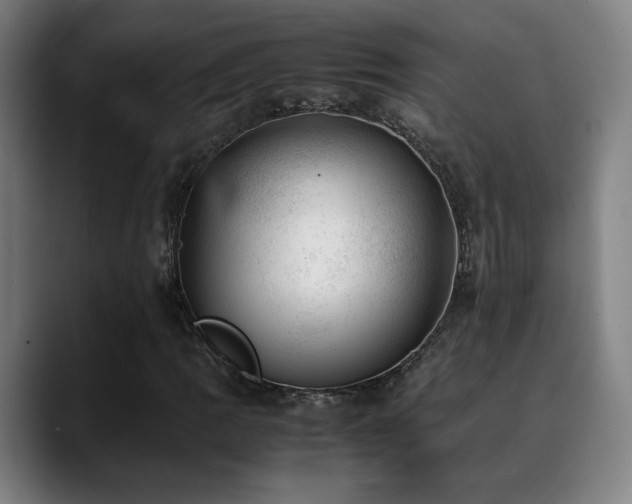 X0000090431109200707131156