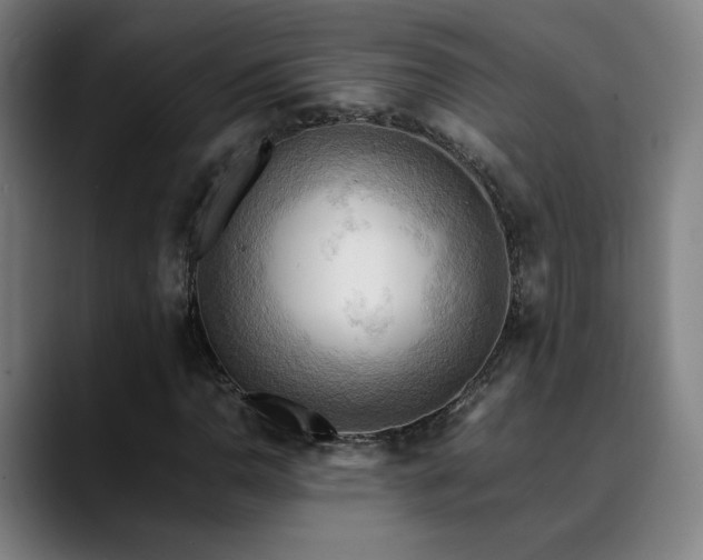 X0000090431110200707131156