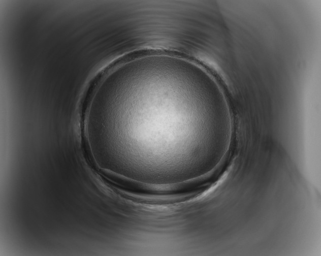 X0000090431114200707131156