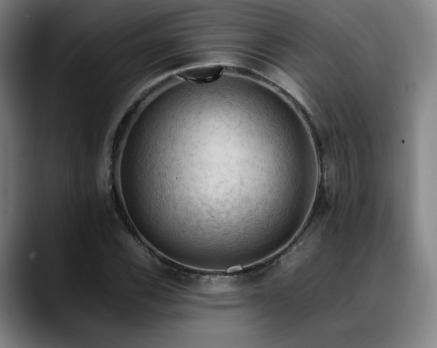 X0000090431116200707131156