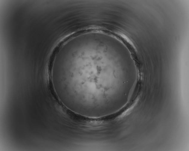 X0000090431117200707131156