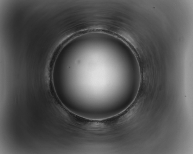 X0000090431119200707131156
