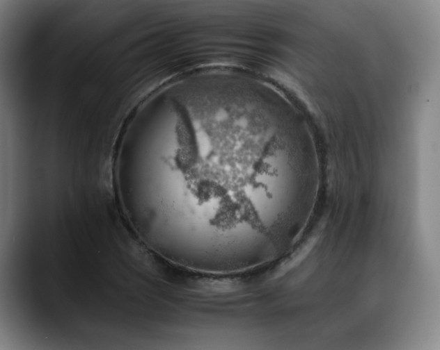 X0000090431121200707131156