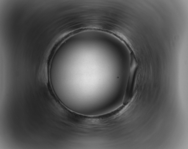 X0000090431123200707131156