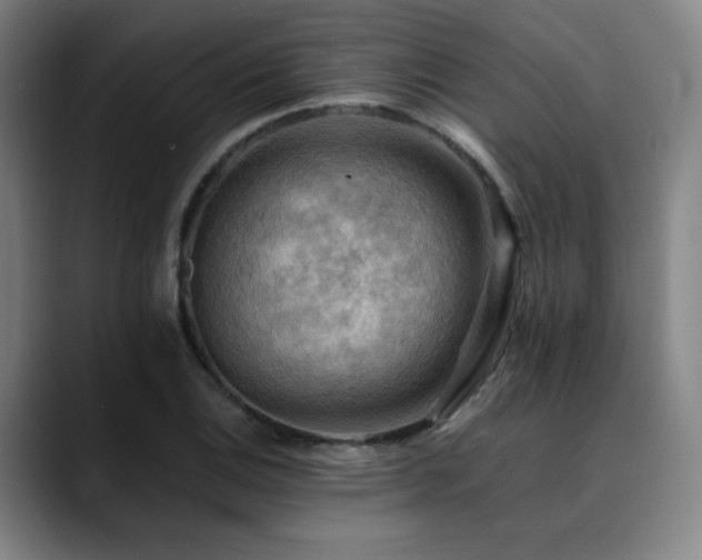 X0000090431124200707131156