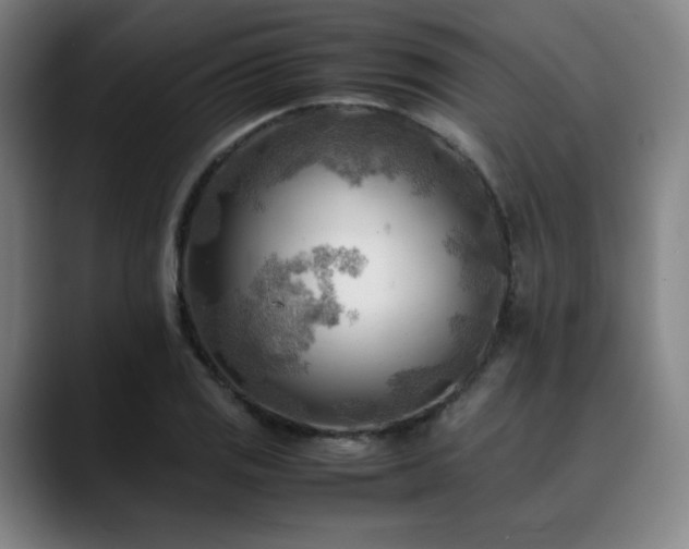 X0000090431125200707131156