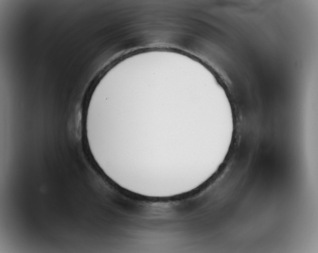 X0000090431126200707131156