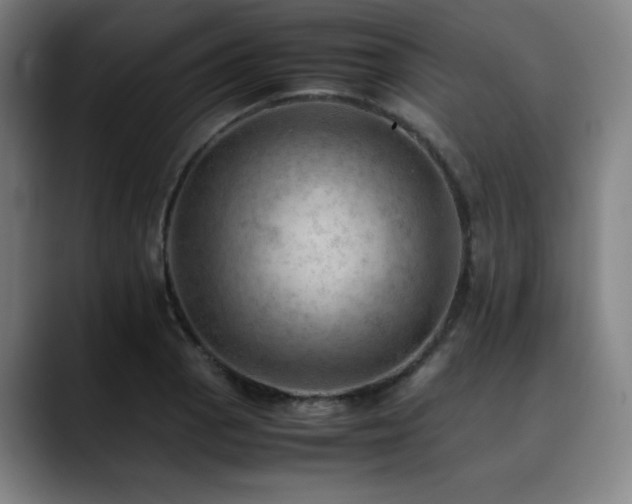 X0000090431129200707131156
