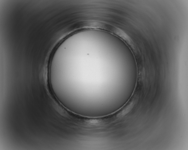 X0000090431130200707131156